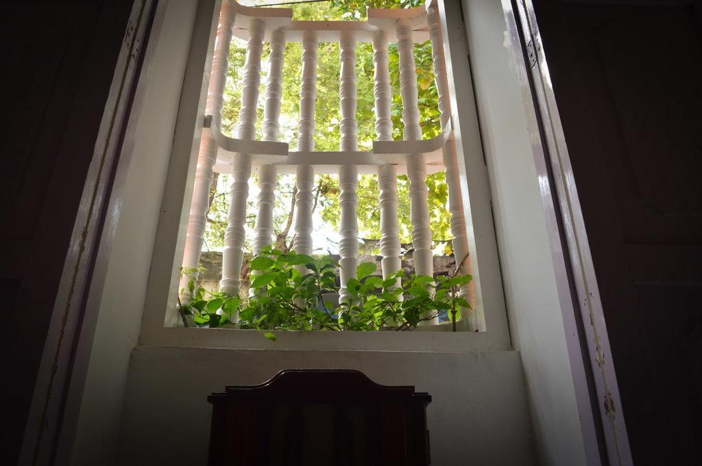 Cartagena Casa De Santo Domingo Vidal 호스텔 외부 사진